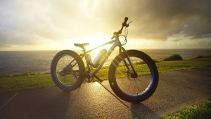 Fat-Bikes-31