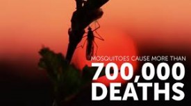 MosquitoDeaths