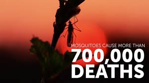 MosquitoDeaths